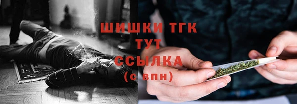сатива Нязепетровск