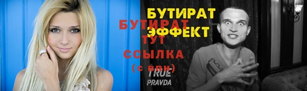 сатива Няндома