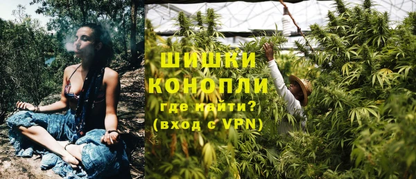 ПСИЛОЦИБИНОВЫЕ ГРИБЫ Алексеевка
