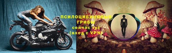 ПСИЛОЦИБИНОВЫЕ ГРИБЫ Алексеевка