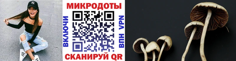Псилоцибиновые грибы Psilocybe  сайты даркнета наркотические препараты  Саянск  как найти наркотики 